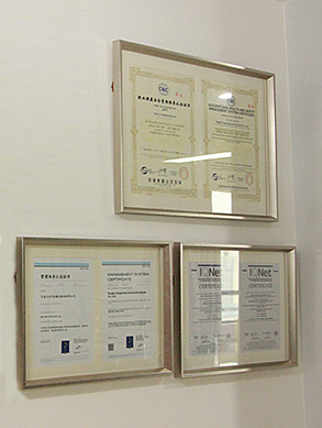 Introducción del sistema